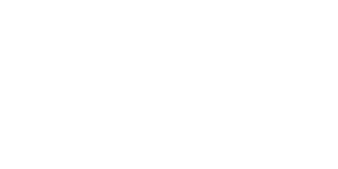 PLAYLINKS_CI_white_transparency